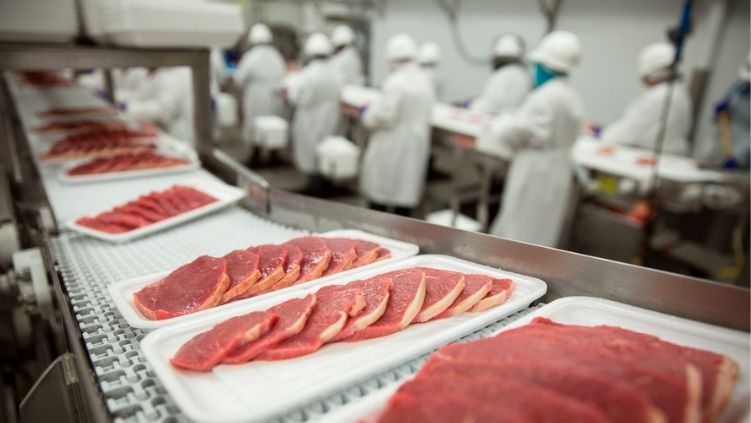 Procesamiento alimentos